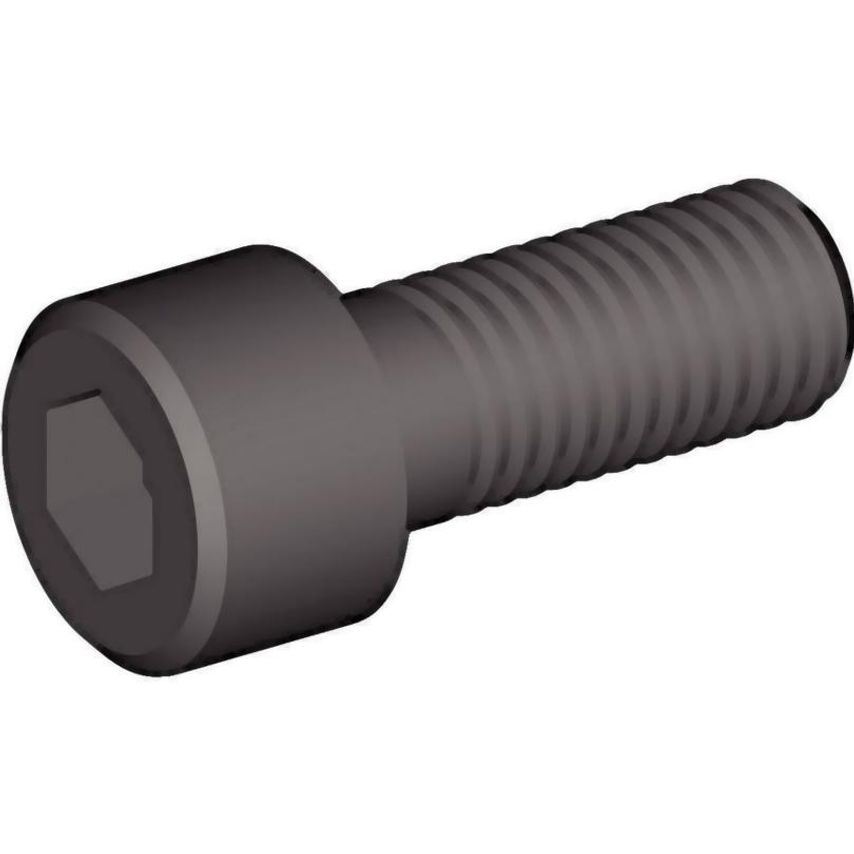 125.020 Screw DIN 912-12.9/M10X20