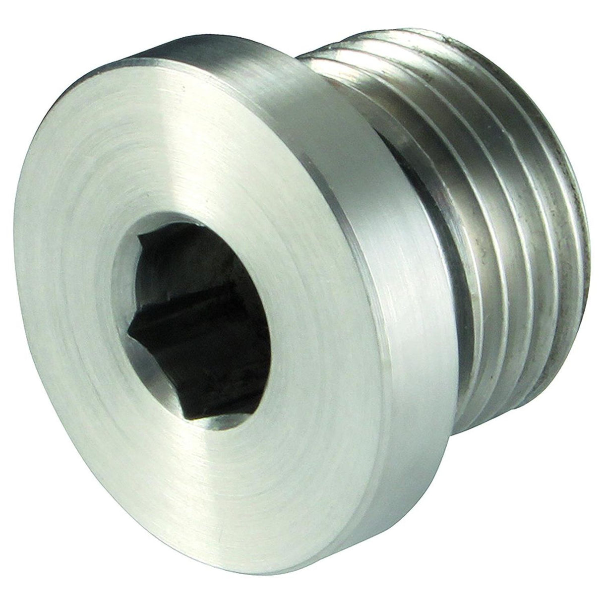 1/2inBSPP Male Blanking Plug 316 - VSTI-8EO