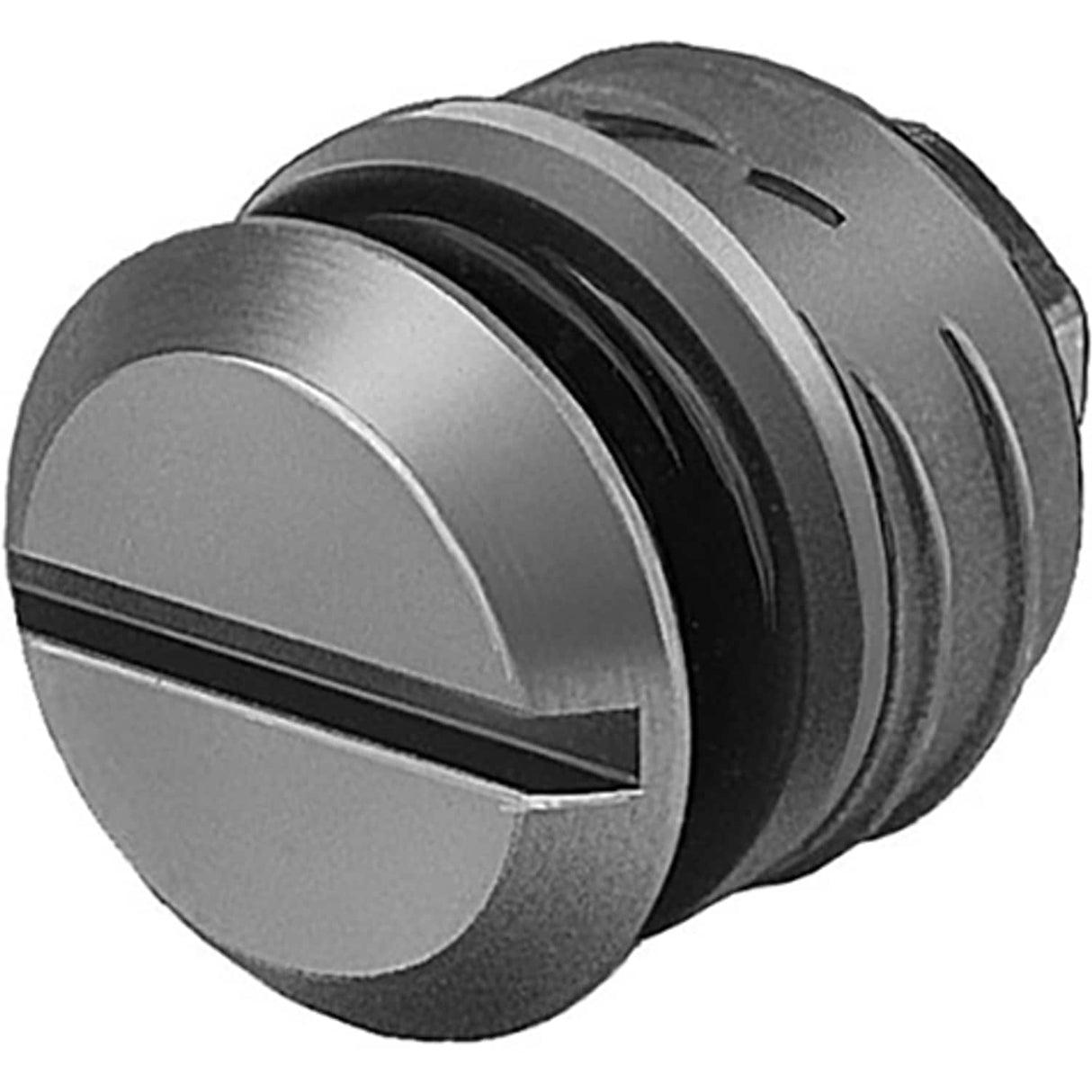 160996 PRSV-1/4 Sealing Plug - 160996 Valve Accessories