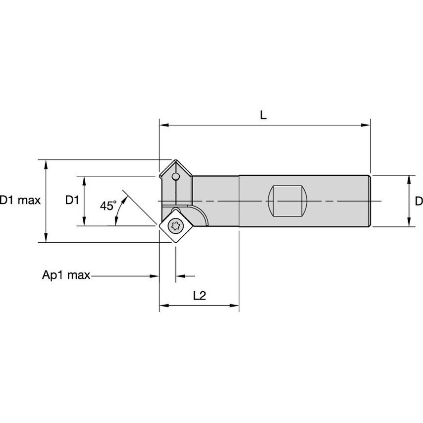 16D1R025B16SSD09 Face Mill 45 SD..09 Shank D 1