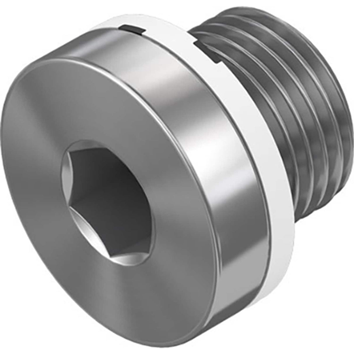 1in BSPP Male Blanking Plug - 5763