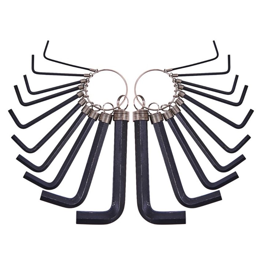 20 Piece Hex Key Set and Keyring
