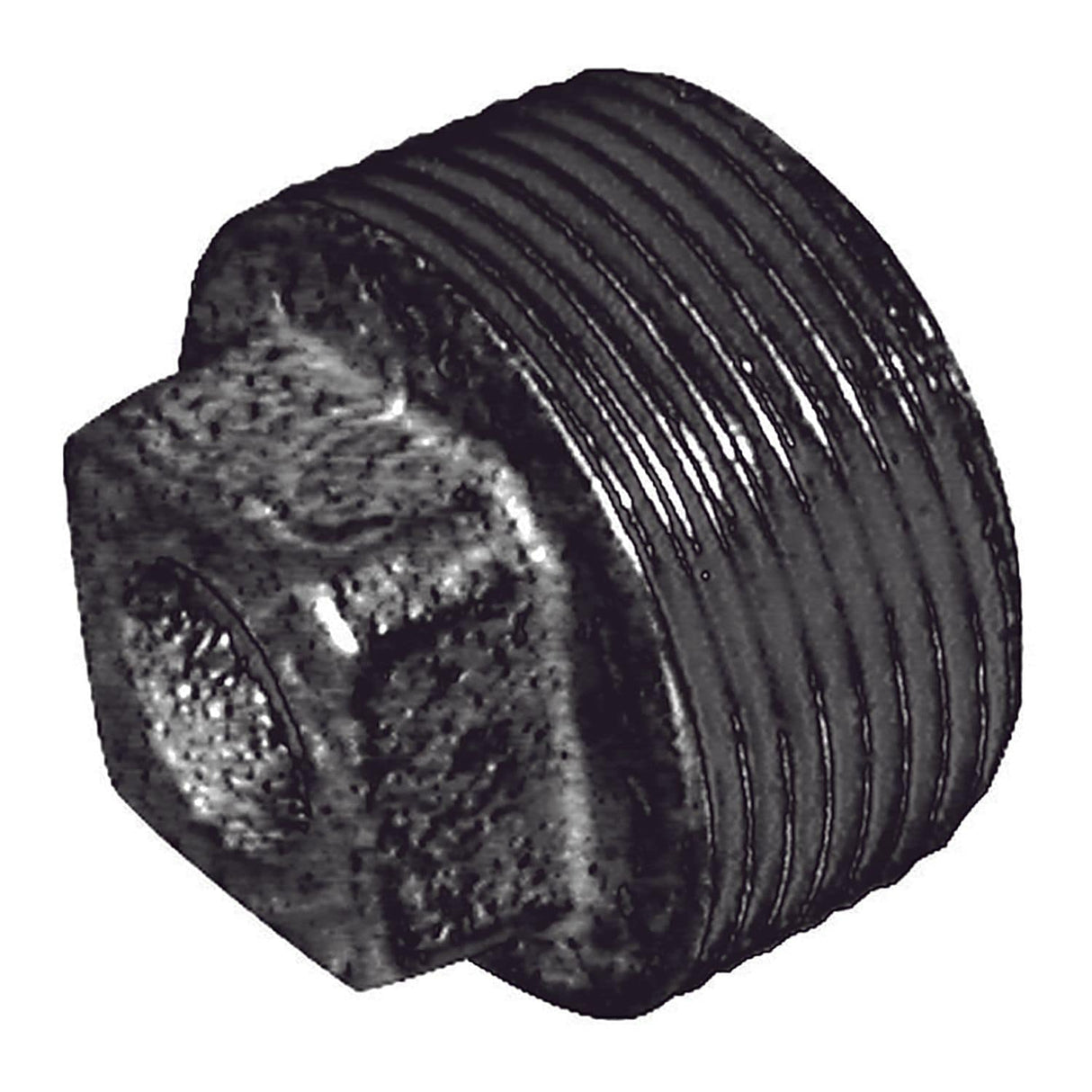 2.1/2inBSPT Male Hollow Plug FIG147 Black - C147-212N