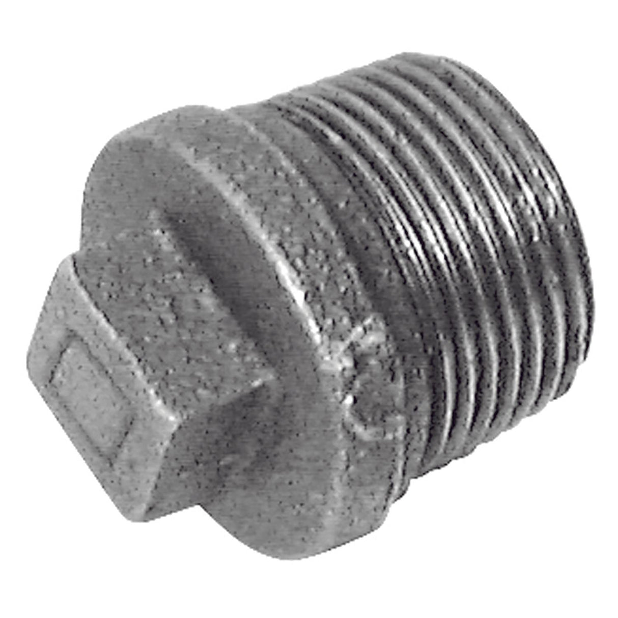 2in BSPT Male Beaded Solid Plug Galvanised - C146-2