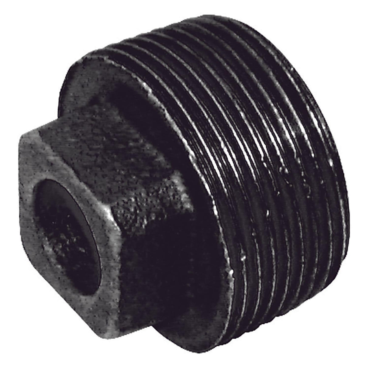 2in BSPT Male Solid Plug FIG148 Black - C148-2N
