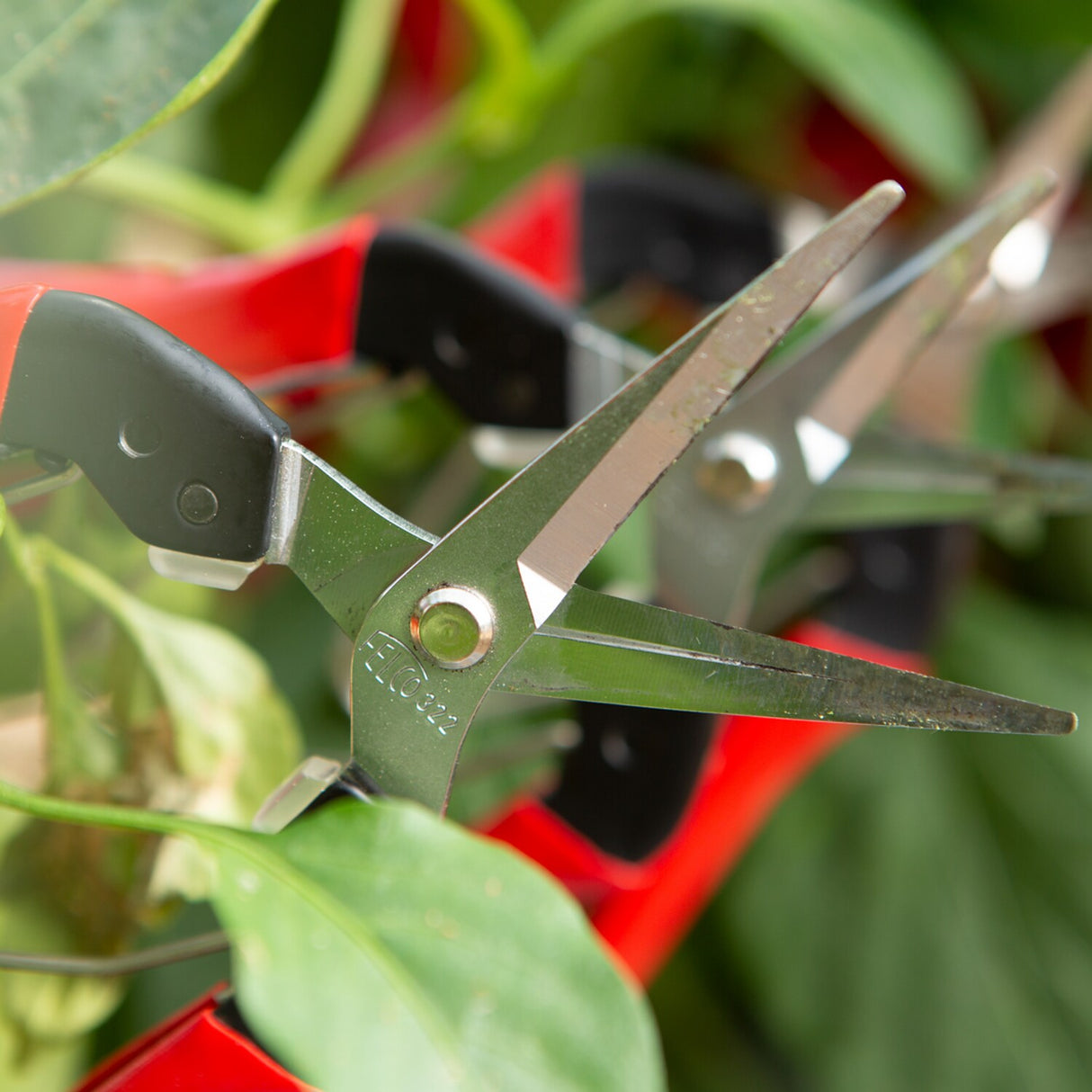 322 Picking and Trimming Snips