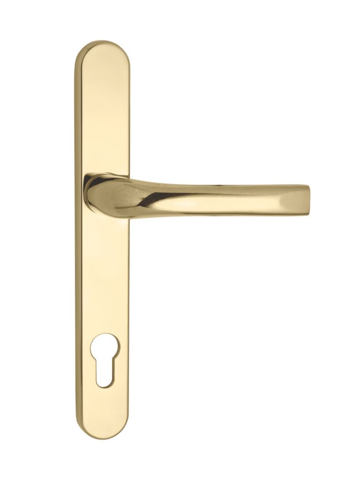 Mila ProLinea Lever Door Handles Type B Pair Gold