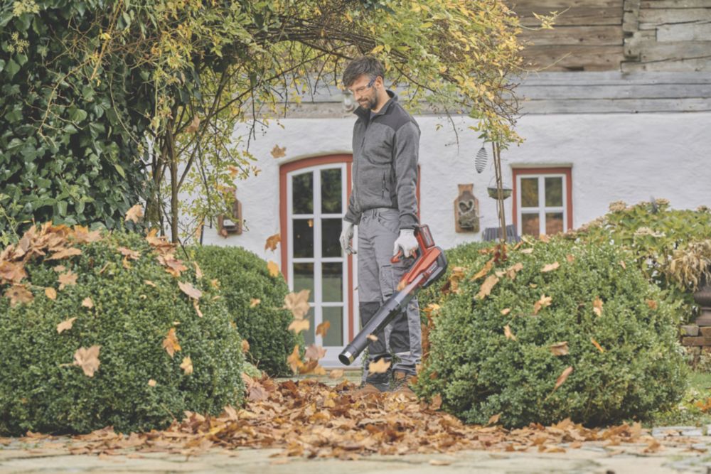 Einhell  GP-LB 18/200 Li E-Solo 18V Li-Ion Power X-Change Brushless Cordless Leaf Blower - Bare