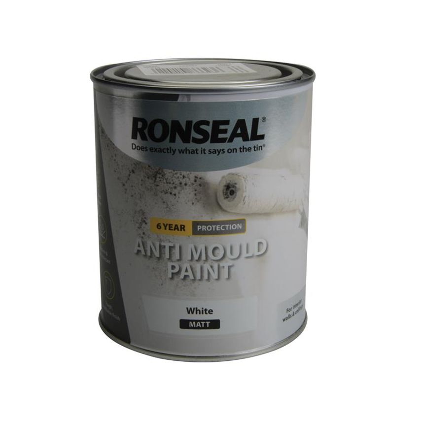 6 Year Anti Mould Paint White Matt 2.5 Litre