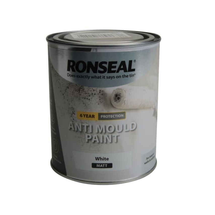 6 Year Anti Mould Paint White Matt 2.5 litre RSLAMPWM25L