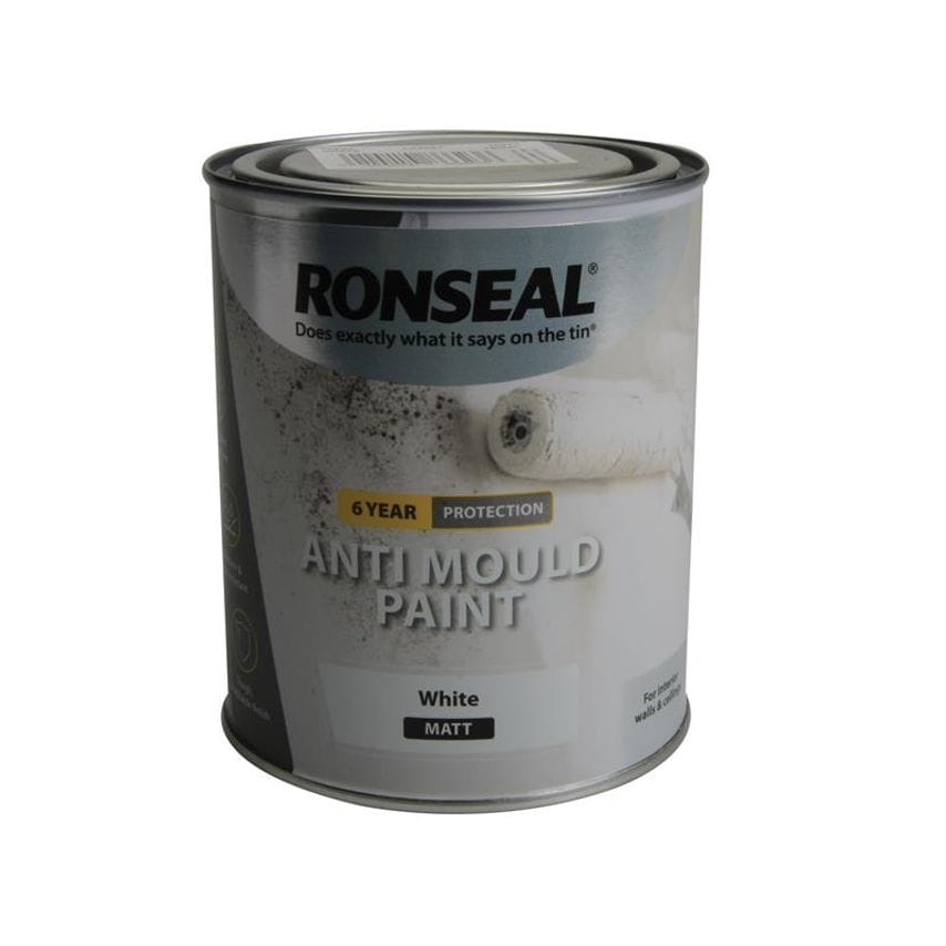 6 Year Anti Mould Paint White Matt 750ml RSLAMPWM750