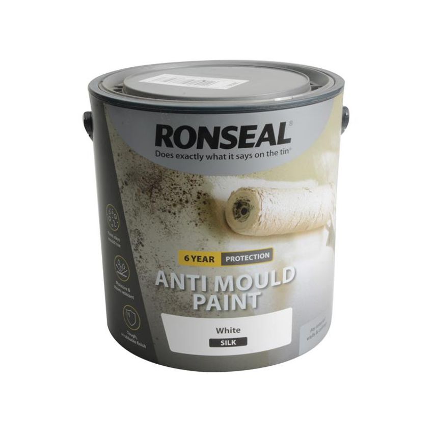 6 Year Anti Mould Paint White Silk 2.5 litre RSLAMPWS25L