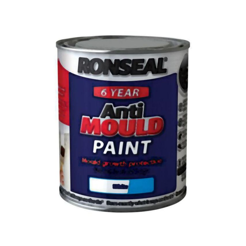 6 Year Anti Mould Paint White Silk 750ml