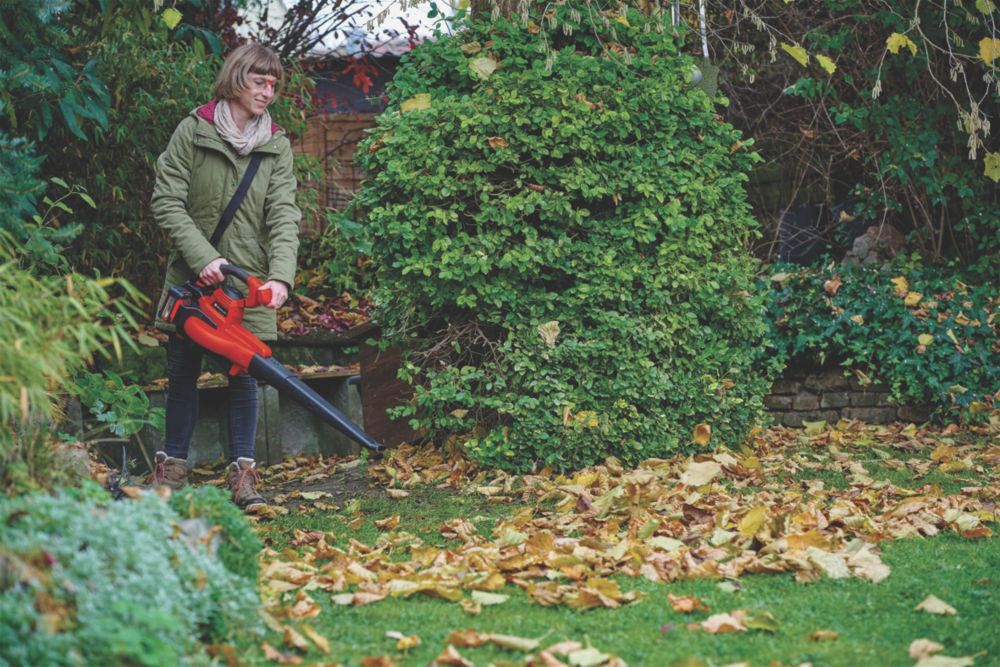 Einhell GE-C 36/230 Li E-Solo 36 (2x18)V Li-Ion Power X-Change  Cordless Blower-Vacuum - Bare