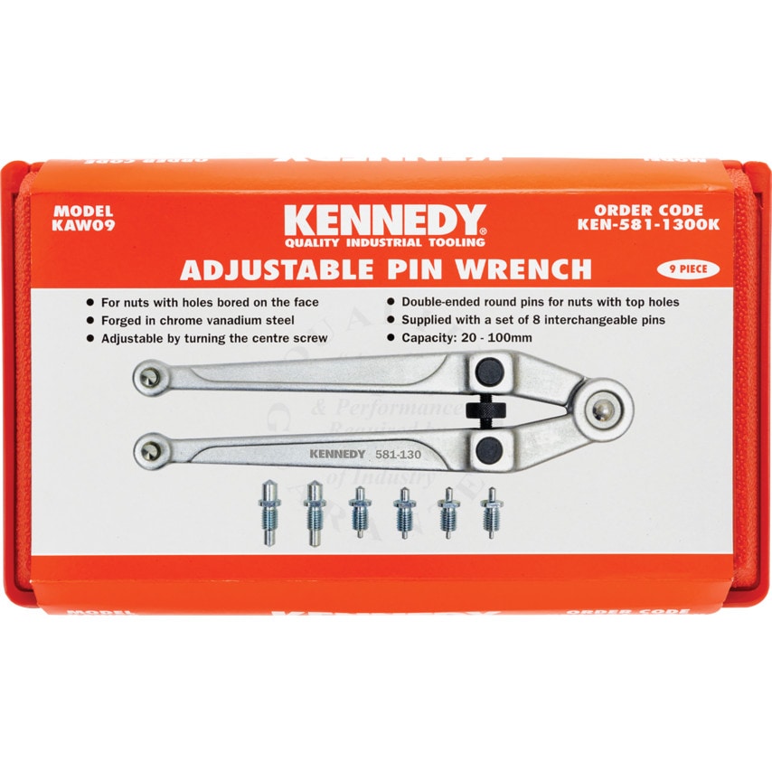 Adjustable Pin Spanner, Steel, 255mm Length, 20-100mm Jaw Capacity