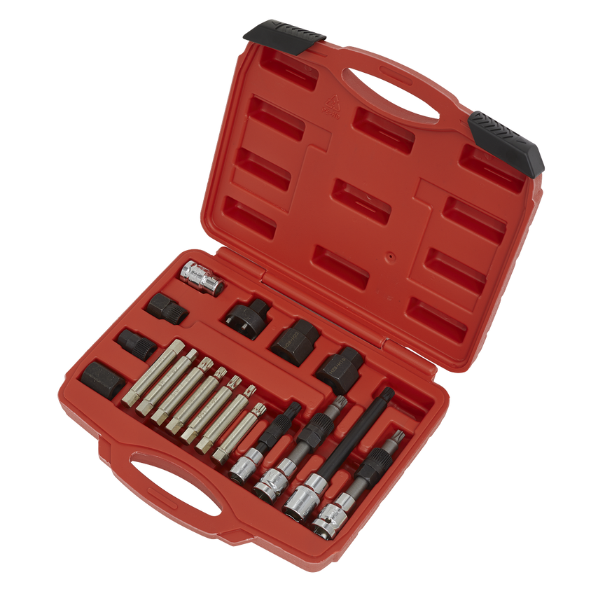 Alternator Freewheel Pulley Removal Set 18 Piece
