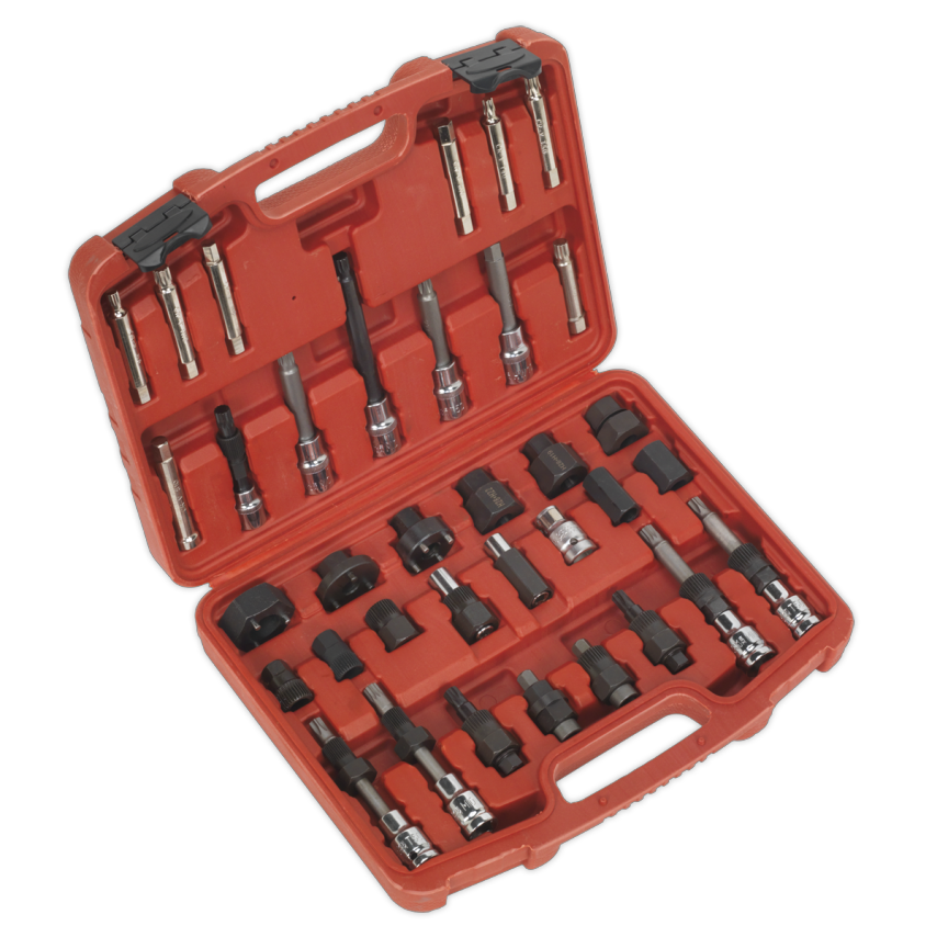 Alternator Freewheel Pulley Removal Set 35 Piece