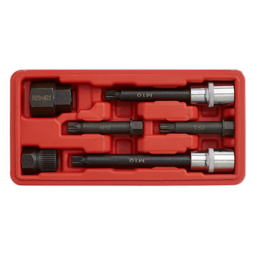 Alternator Freewheel Pulley Removal Set 6 Piece