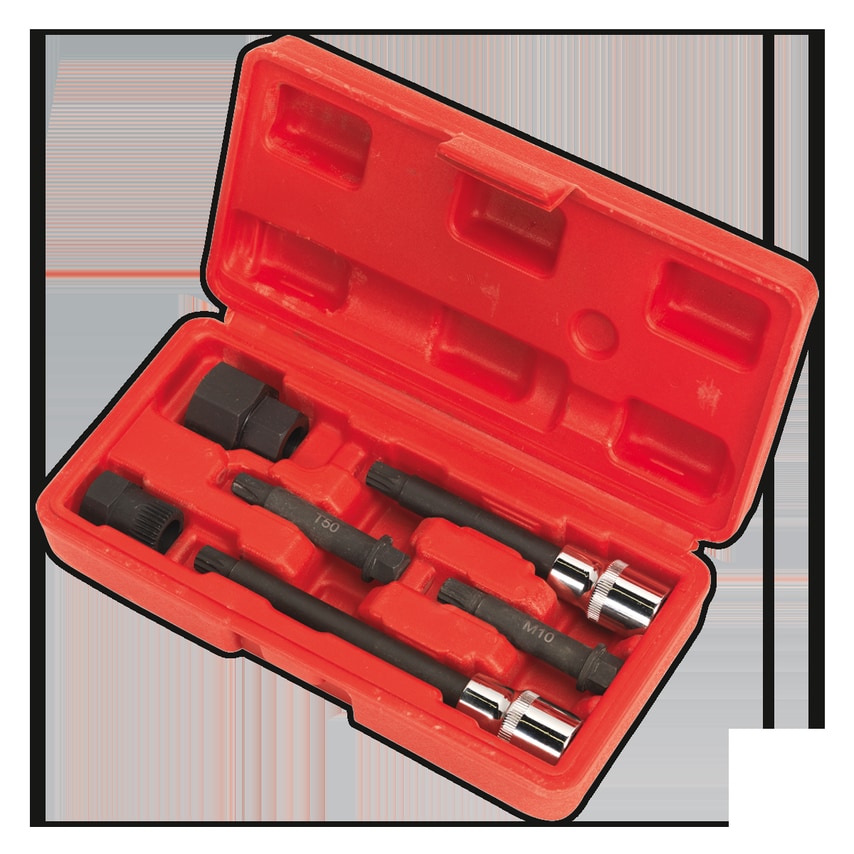 Alternator Freewheel Pulley Removal Set 6 Piece