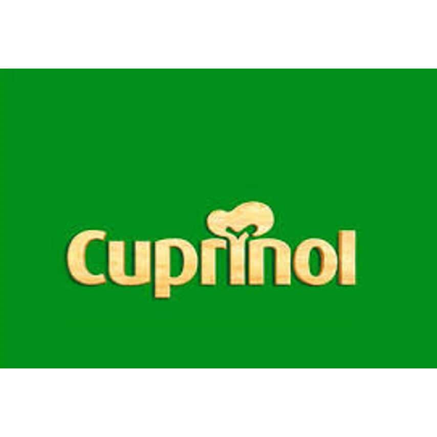 Anti Slip Decking Stain 5L Country Cedar
