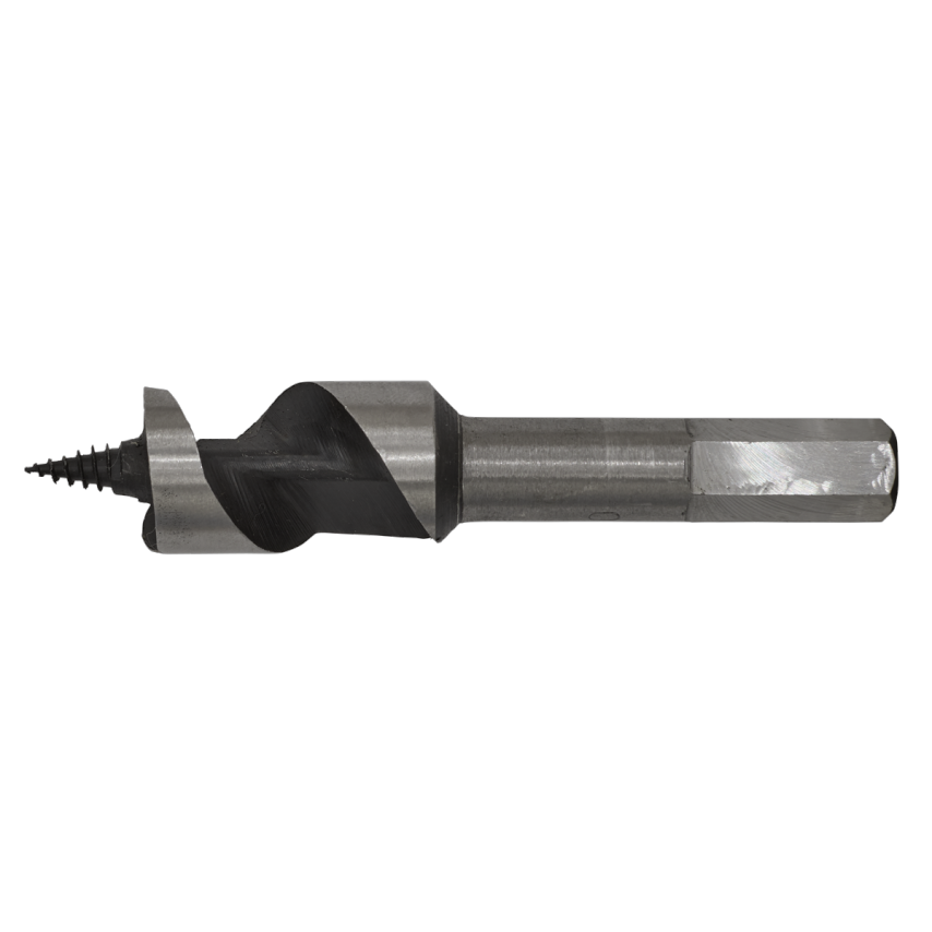 Auger Wood Drill 20 x 100mm