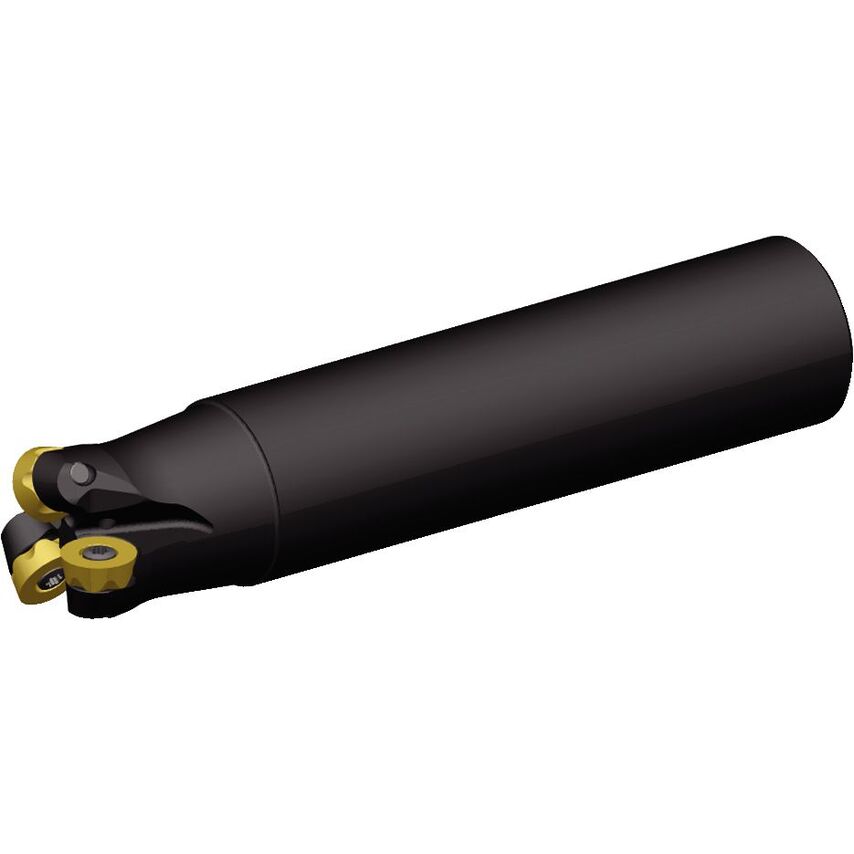 BMD150R1602C125L800 Daisy End Mill D1.50 Z2 D1.25