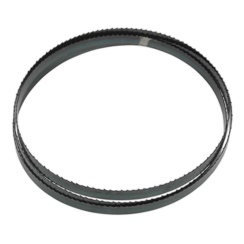 Bandsaw Blade 1638 X 13 X 0.63MM 6TPI