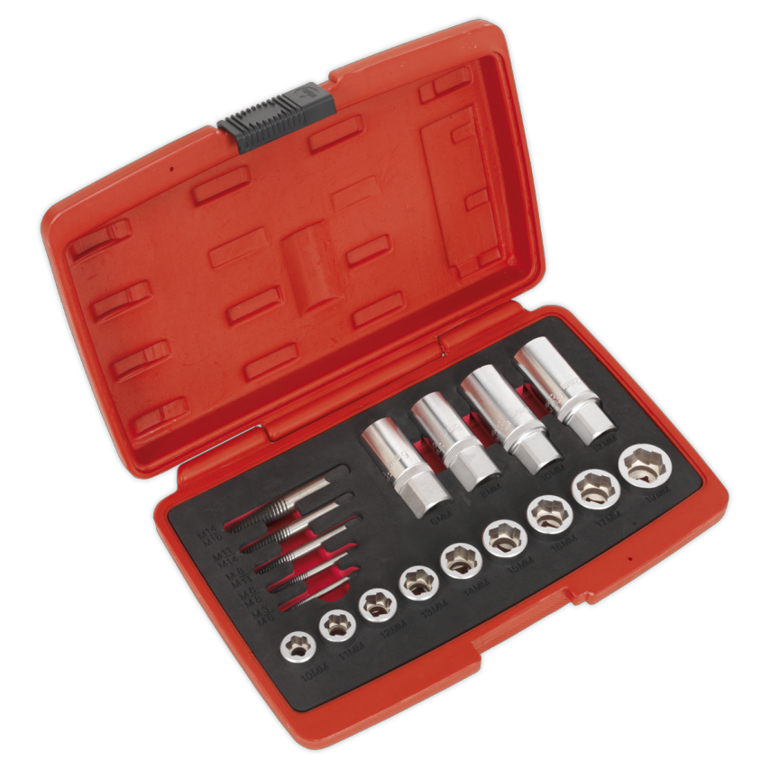 Bolt, Stud & Screw Extractor Set 18 Piece