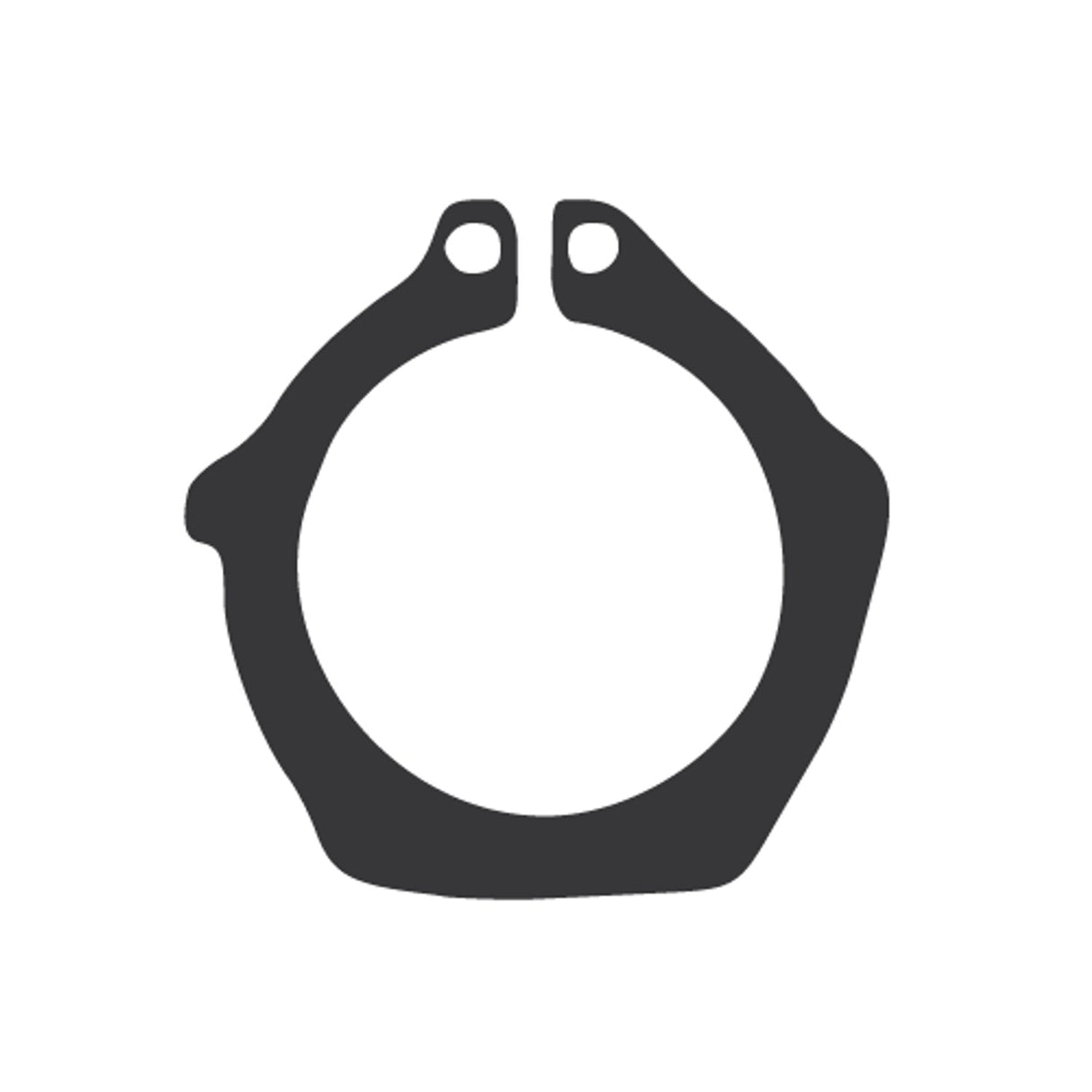 Circlip 100mm - 700-100