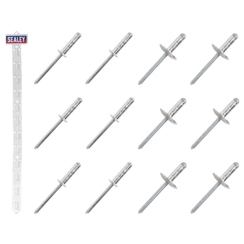 Clip Strip Deal - Aluminium Rivets