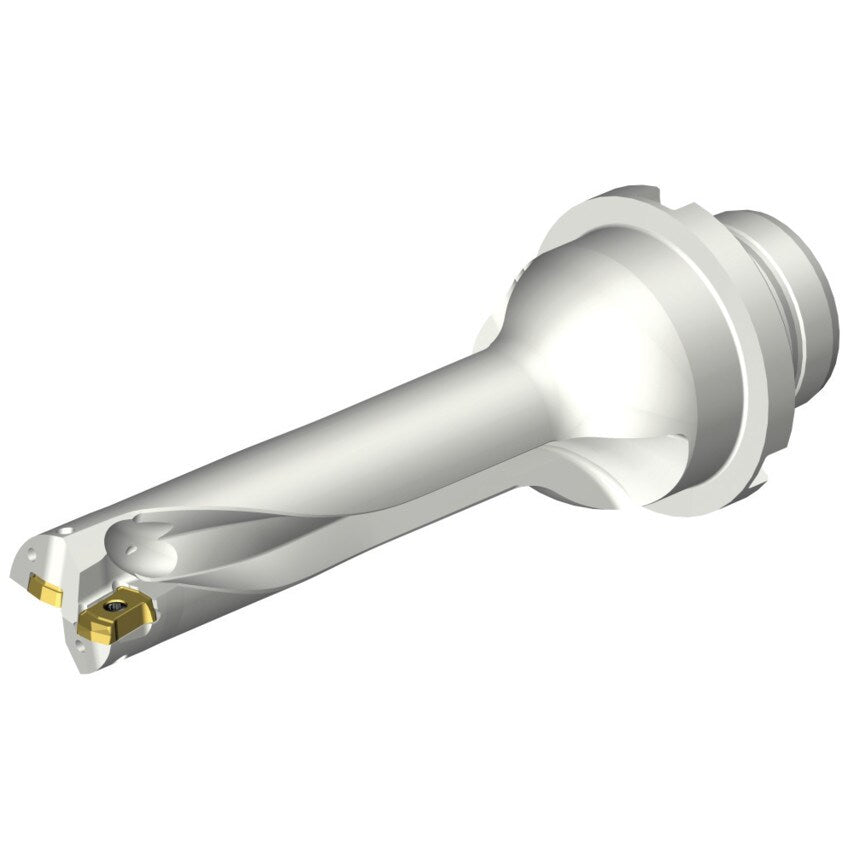 DS20-D1745DM25-04 DS20 Indexable Insert Drill
