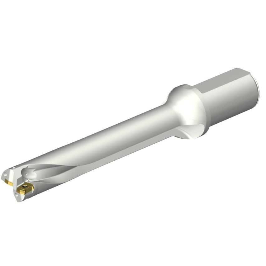 DS20-D3100L40-06 DS20 Indexable Insert Drill