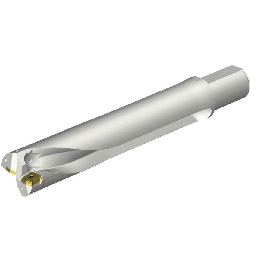 DS20-D6200L50-05 DS20 Indexable Insert Drill