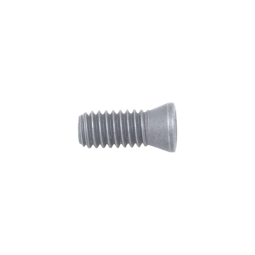 DS3.0 X 8.2 (T9) Insert Screw