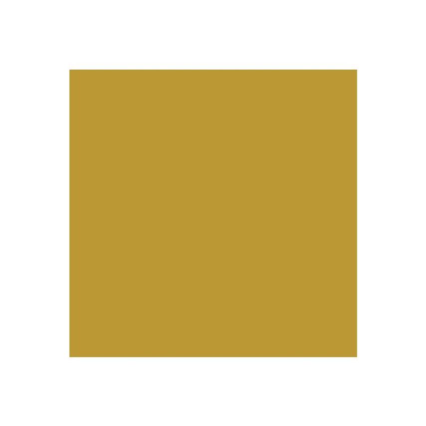 Direct to Metal Paint Gold Gloss 250ml RSLDTMGG250