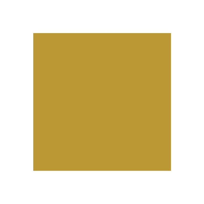 Direct to Metal Paint Gold Satin 250ml RSLDTMGS250