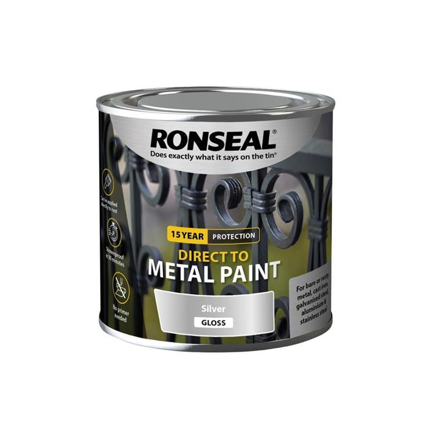 Direct to Metal Paint Silver Gloss 250ml RSLDTMSG250