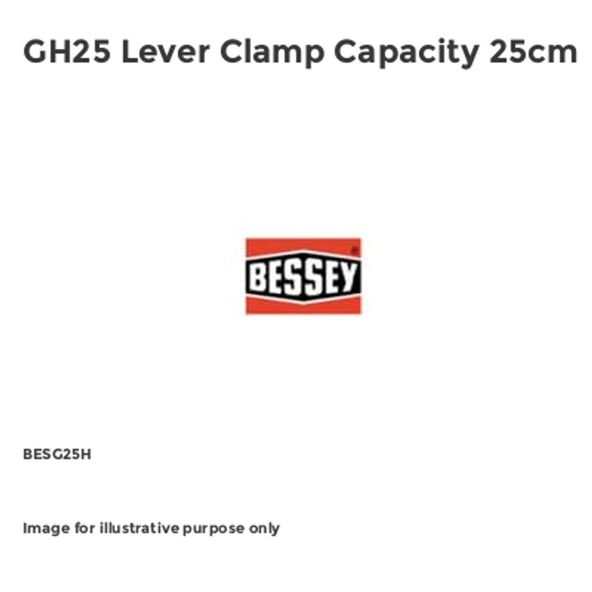 GH25 Lever Clamp Capacity 25cm