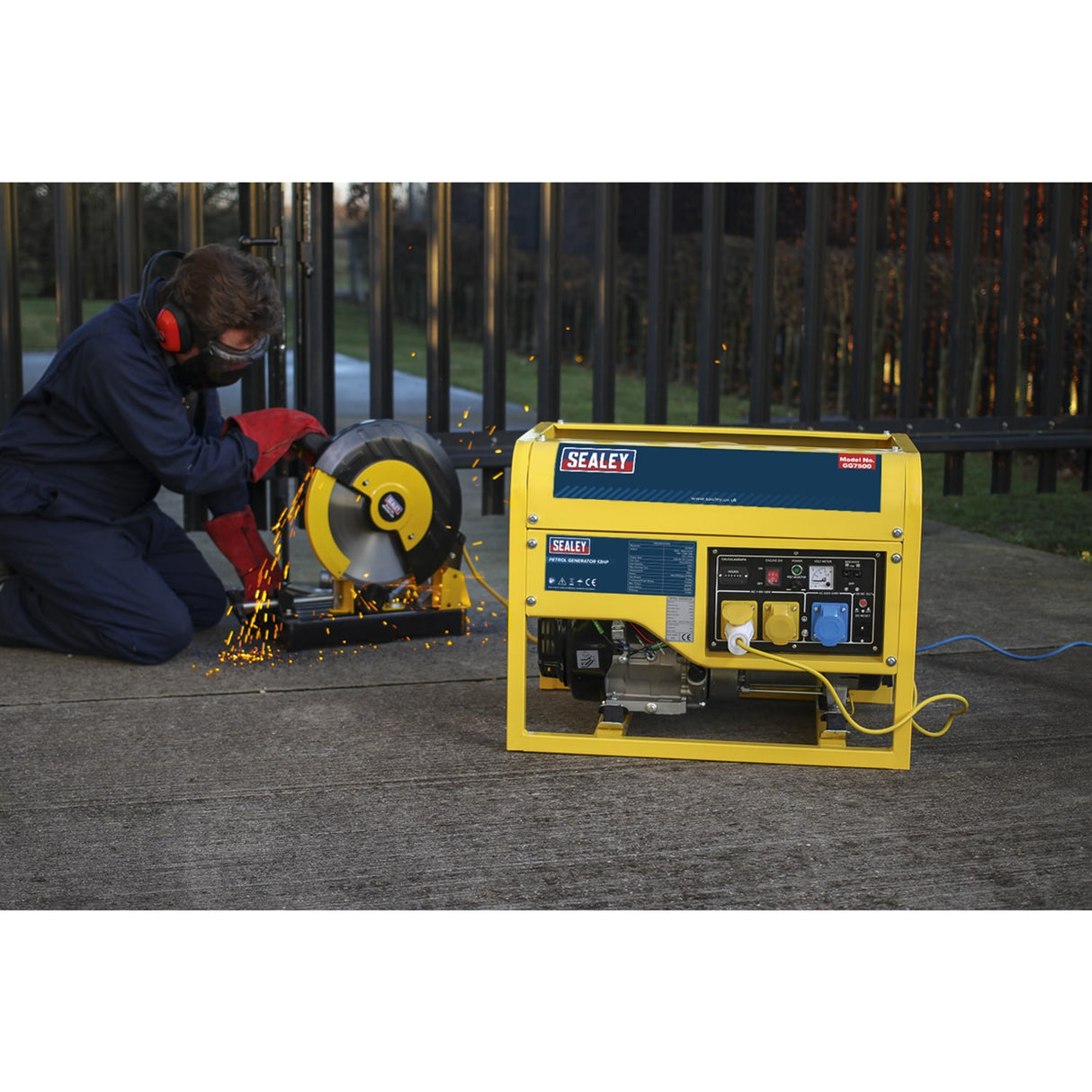 Generator 6000W 110/230V 13HP