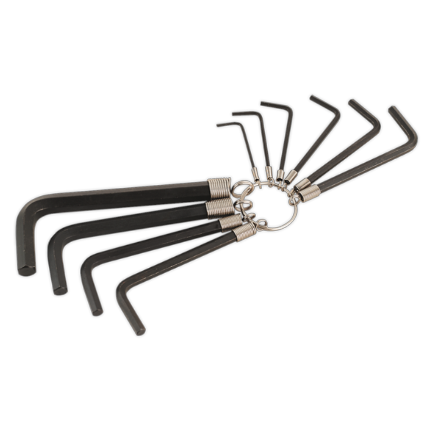 Hex Key Set on Ring10 Piece Metric