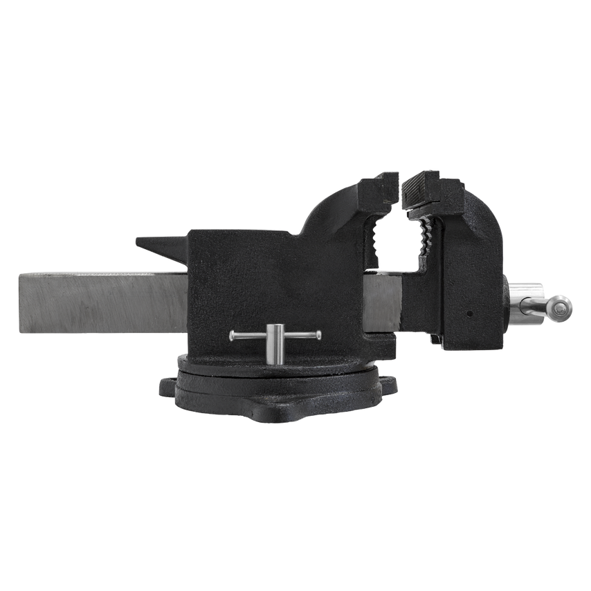 Industrial Vice 200MM SG Iron