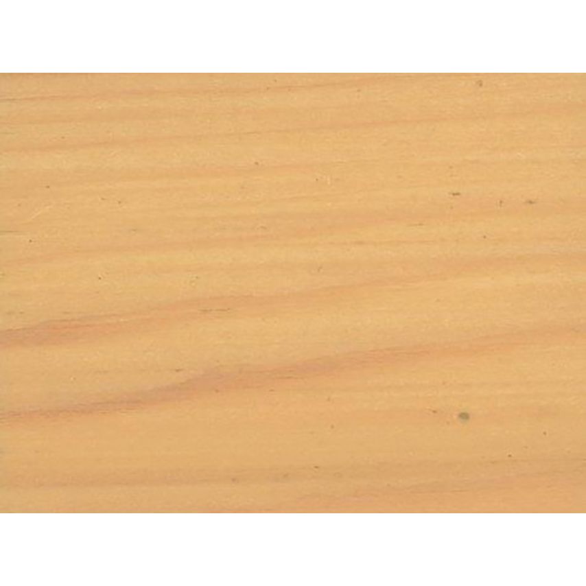 Interior Varnish Quick Dry Satin Ash 250ml RSLIVSAS250