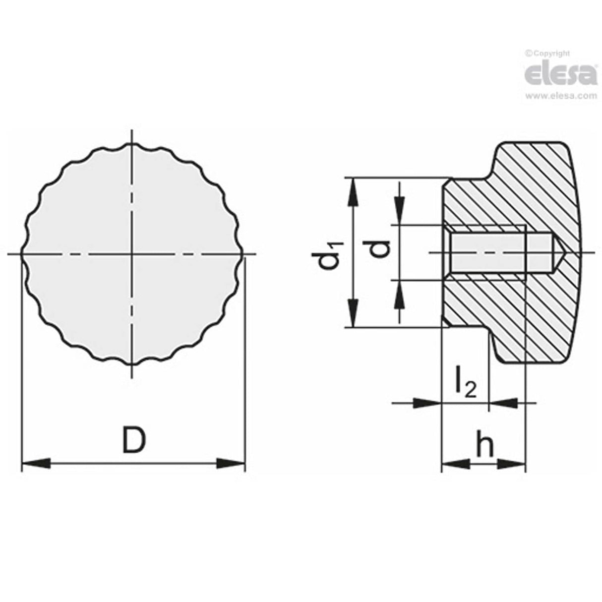Knurled grip knob-BM.193/20 SST-M5