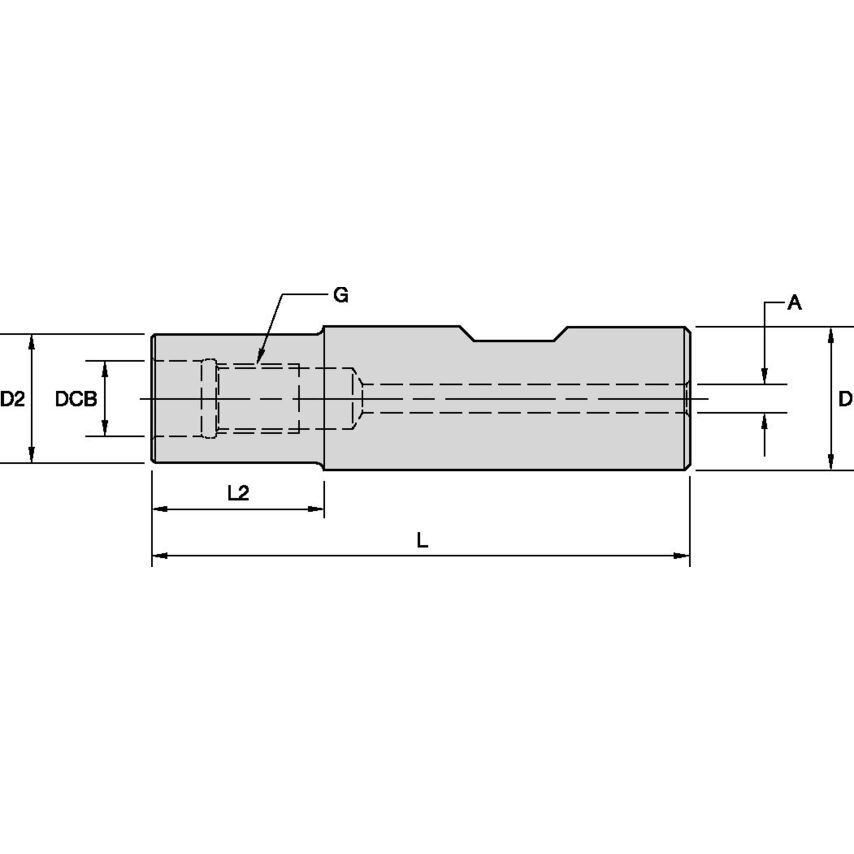 M06WST10060m Screw on Extensions Weldon
