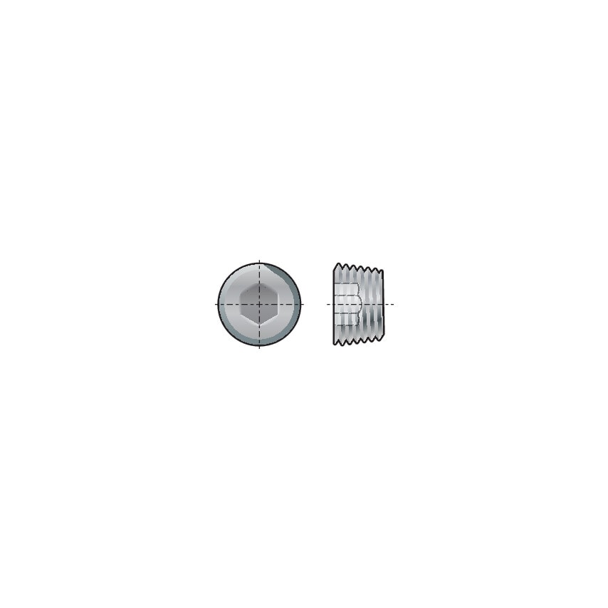 M14X1.50 MF Socket Pipe Plug DIN906 A2