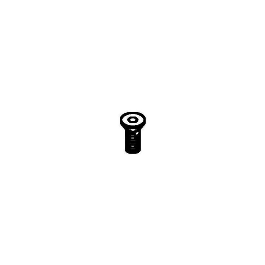 MS2134 Spare Parts Screw
