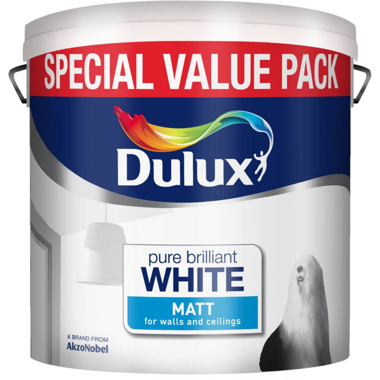 Matt Paint 6 Litre Special Value Pure Brilliant White