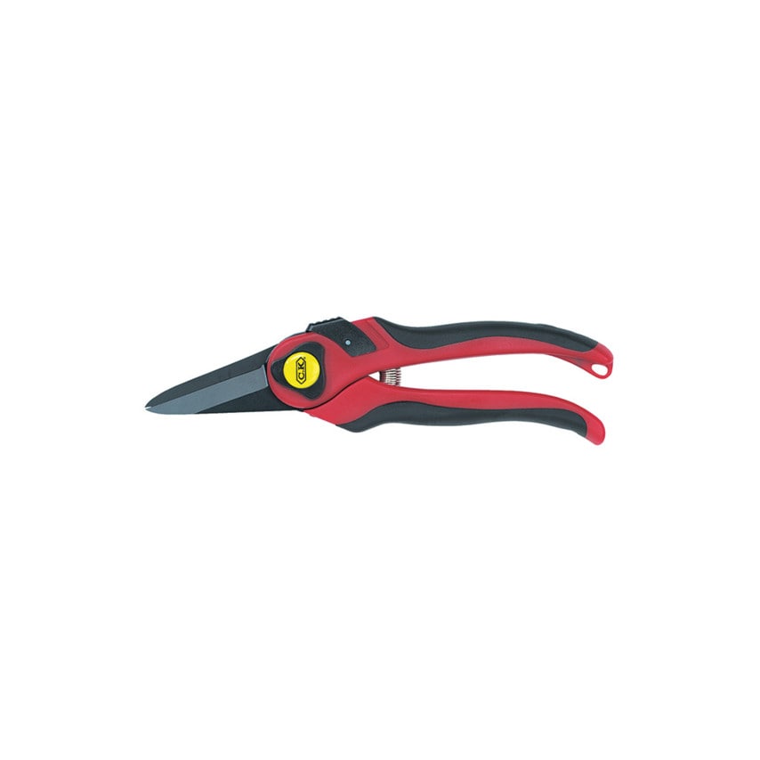 Maxima Pruning Snips