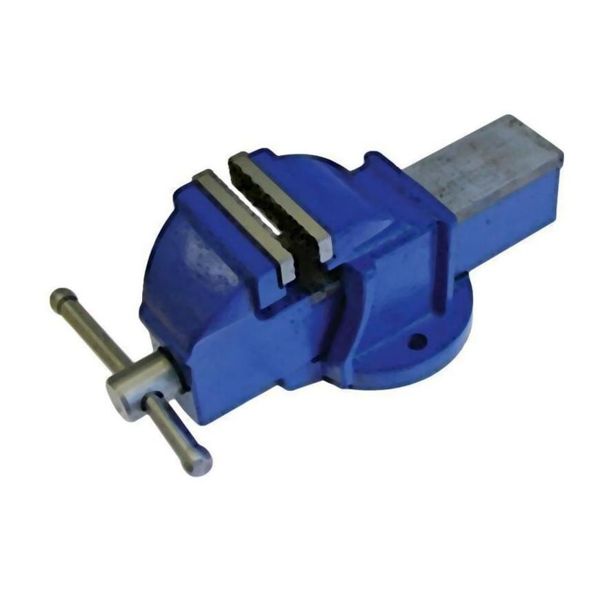 Mechanic's Bench Vice 100mm (4in) FAIVM3