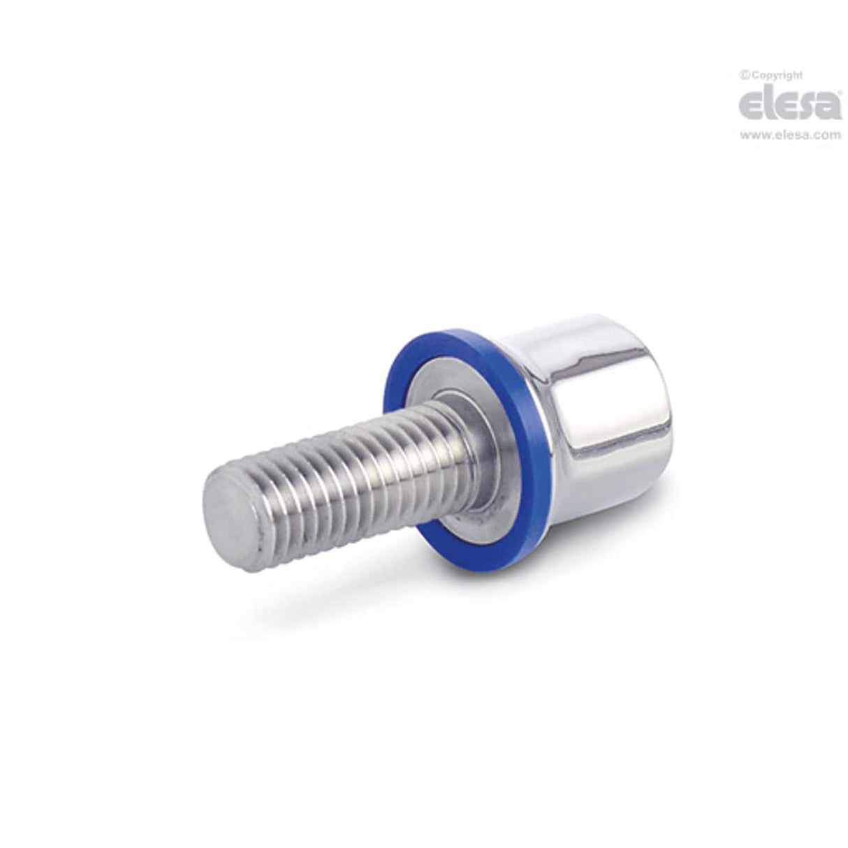 NT-HD-SST Screws and nuts for adjustable feet Stainless steel Hygienic Design Threaded screw NT-HD-SST-p-M8x30-PL-H